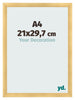 Fotokader 21x29 7cm A4 Goud Mat MDF Pisa Voorzijde Maat | Yourdecoration.be