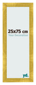 Fotokader 25x75cm Goud Vintage MDF Pisa Voorzijde Maat | Yourdecoration.be