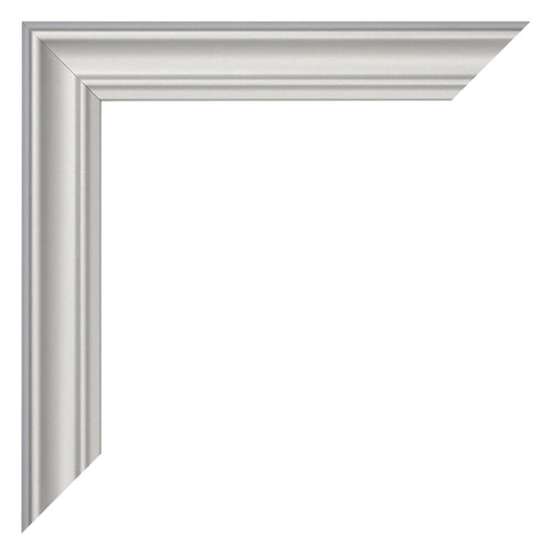 Fotokader 29 7x42cm A3 Zilver Mat MDF Lazio Detail Hoek | Yourdecoration.be
