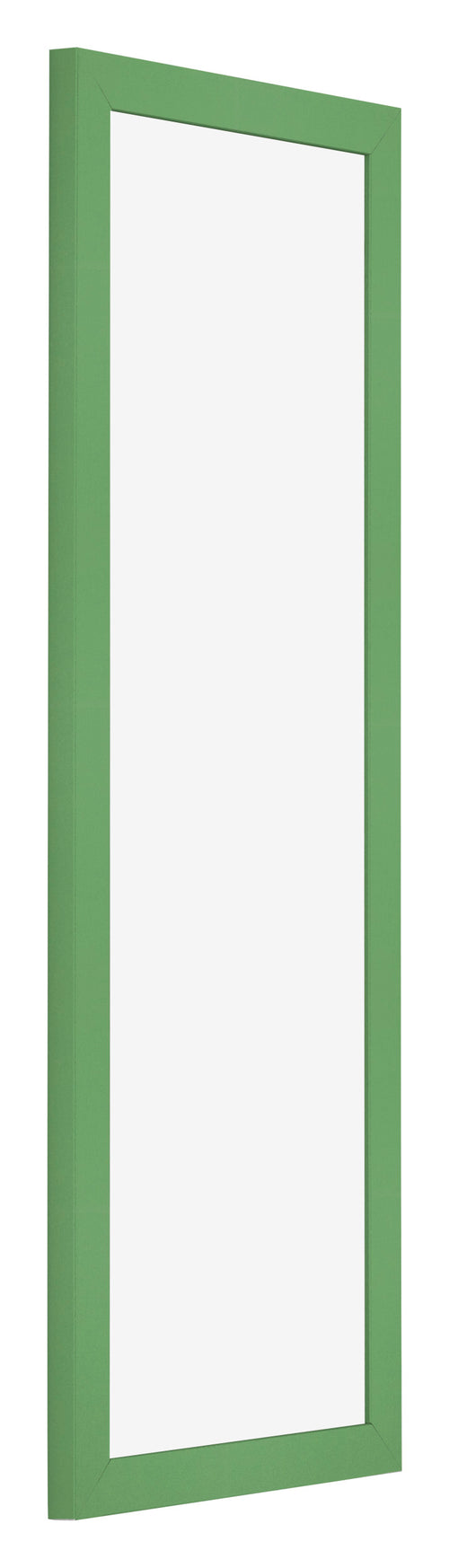 Fotokader 33x98cm Groen MDF Bologna Voorzijde Schuin | Yourdecoration.be