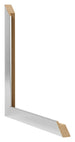 Fotokader 37 5x98cm Edelstaal MDF Bologna Detail Doorsnede | Yourdecoration.be