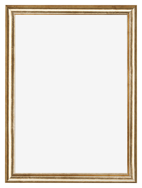 Fotokader 42x60cm Goud Antiek MDF Lazio Voorzijde | Yourdecoration.be