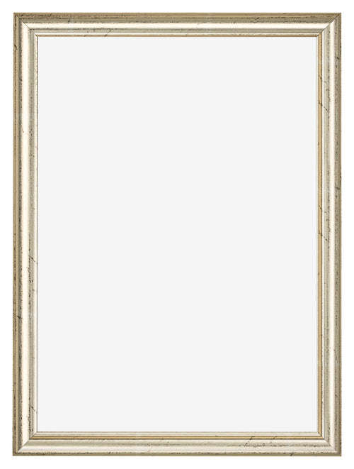 Fotokader 49x68cm Metaalglans MDF Lazio Voorzijde | Yourdecoration.be