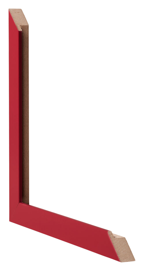 Fotokader 49x68cm Rood MDF Bologna Detail Doorsnede | Yourdecoration.be