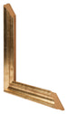 Fotokader 55x55cm Goud Antiek MDF Lazio Detail Doorsnede | Yourdecoration.be