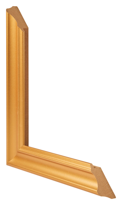 Fotokader 68x98cm Goud Mat MDF Lazio Detail Doorsnede | Yourdecoration.be