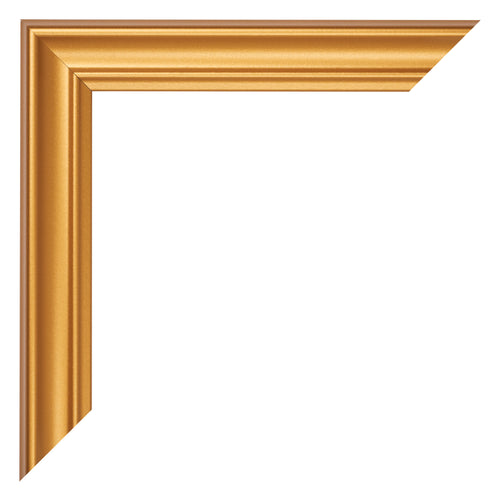 Fotokader 68x98cm Goud Mat MDF Lazio Detail Hoek | Yourdecoration.be