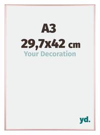 Kent Aluminium Fotokader 29 7x42cm A3 Koper Voorzijde Maat | Yourdecoration.be