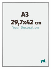 Kent Aluminium Fotokader 29 7x42cm A3 Platina Voorzijde Maat | Yourdecoration.be