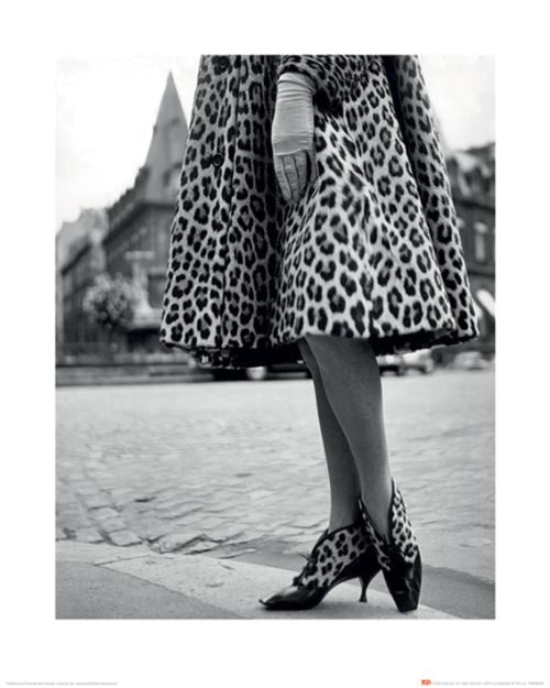 Kunstdruk Time Life Dior Leopard print 40x50cm Pyramid PPR43234 | Yourdecoration.be