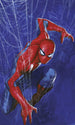 Marvel Spider Man Spider Fotobehang DX3 210 | Yourdecoration.be