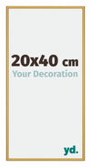 New York Aluminium Fotokader 20x40cm Goud Glanzend Voorzijde Maat | Yourdecoration.be