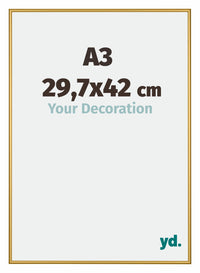 New York Aluminium Fotokader 29 7x42cm A3 Goud Glanzend Voorzijde Maat | Yourdecoration.be