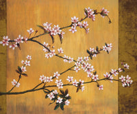 PGM LEN 77 Erin Lange Cherry Blossoms Kunstdruk 60x50cm | Yourdecoration.be