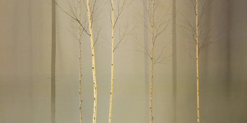 PGM MGD 212 Ged Mitchell Winterlely Wood Kunstdruk 100x50cm | Yourdecoration.be