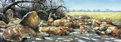 PGM RCA 49 Renato Casaro After breakfast Kunstdruk 99x34cm | Yourdecoration.be