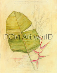 PGM TNA 52 Avery Tillmon Botanical Journal I Kunstdruk 56x71cm | Yourdecoration.be