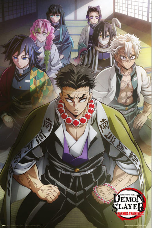 Poster Demon Slayer Hashira Training 1 61x91 5cm GPE6072 | Yourdecoration.be