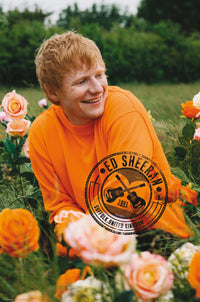 Poster Ed Sheeran Rose Field 61x91 5cm Abystyle GBYDCO396 | Yourdecoration.be