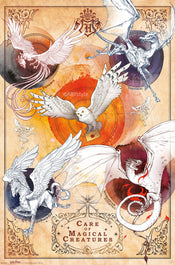 Poster Harry Potter Magical Creatures 61x91 5cm GBYDCOA031 | Yourdecoration.be