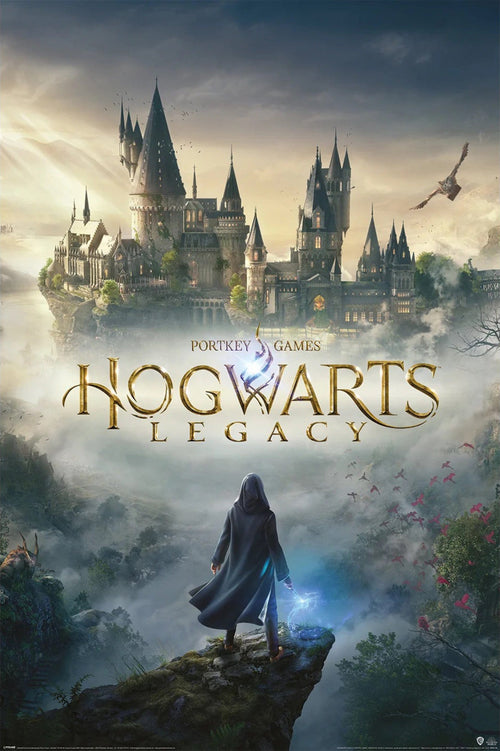 Poster Hogwarts Legacy Wizarding Worluniverse Maxi Poster 61x91 5cm Pyramid PP35135 | Yourdecoration.be