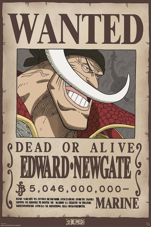 Poster One Piece Wanted Whitebeard 61x91 5cm GBYDCO596 | Yourdecoration.be
