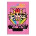 Poster Powerpuff Girls 61x91 5cm GPE5965 | Yourdecoration.be
