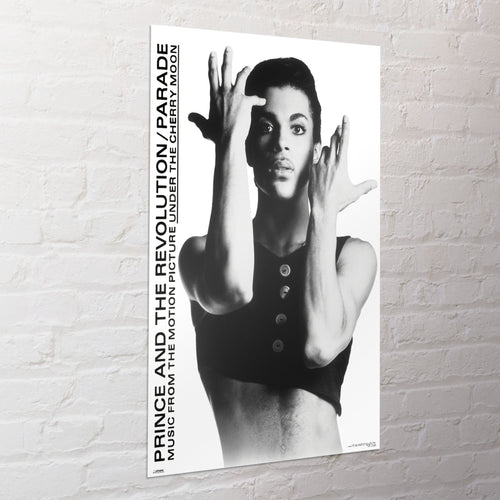 Poster Prince 61x91 5cm WPSX056 Sfeer | Yourdecoration.be