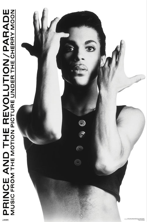 Poster Prince 61x91 5cm WPSX056 | Yourdecoration.be