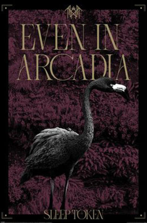 Poster Sleep Token Arcadia 61x91 5cm PP2501072 | Yourdecoration.be