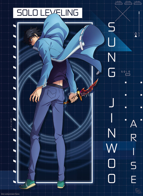 Poster Solo Leveling Jinwoo Arise 61x91 5cm GBYDCOA025 | Yourdecoration.be
