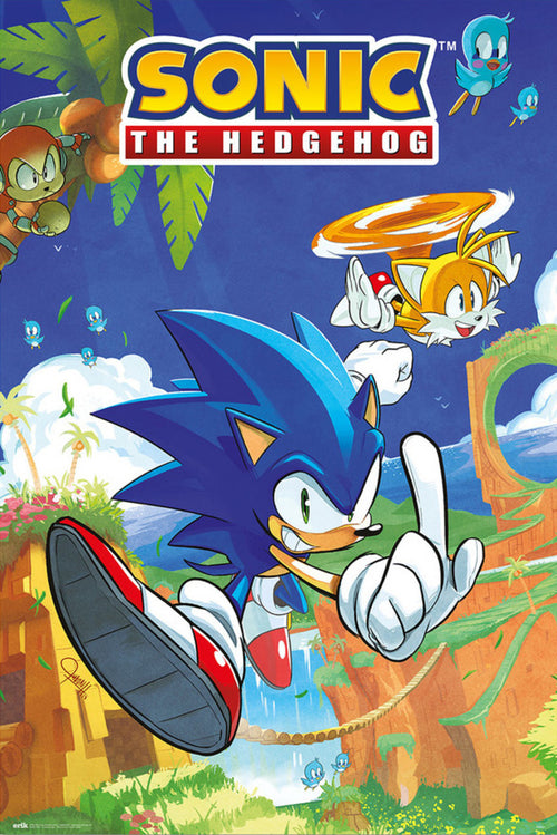 Poster Sonic The Hedgehog And Tails xcm Grupo Erik GPE5798 | Yourdecoration.be