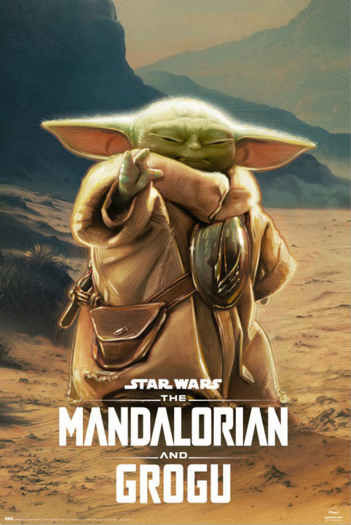 Poster Star Wars The Mandalorian And Grogu Grogu 61x91 5cm GPE6056 | Yourdecoration.be