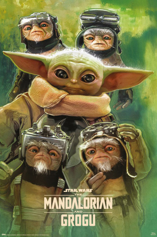 Poster Star Wars The Mandalorian And Grogu Grogu Anzellans 61x91 5cm GPE6055 | Yourdecoration.be