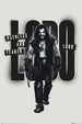 Poster Supergirl Movie Lobo 61x91 5cm PP2512028 | Yourdecoration.be