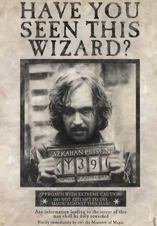 Harry Potter Wanted Sirius Black Poster 61X91 5cm | Yourdecoration.be
