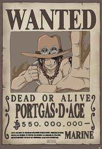 One Piece Wanted Ace Poster 61X91 5cm | Yourdecoration.be