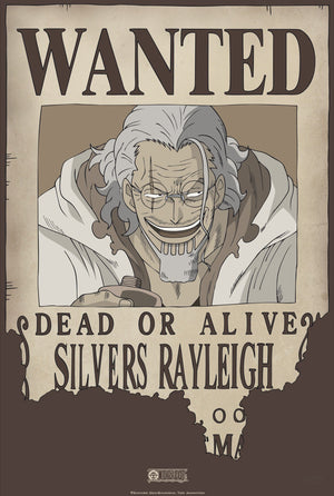One Piece Wanted Rayleigh Poster 35X52cm | Yourdecoration.be