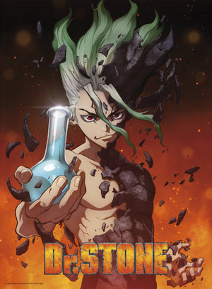 Dr Stone Senku Poster 38X52cm | Yourdecoration.be