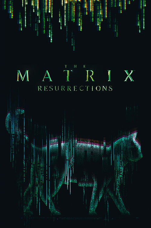 Abystyle Abydco864 The Matrix Cat Poster 61x91,5cm | Yourdecoration.be