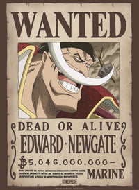 Abystyle Gbydco263 One Piece Wanted Whitebeard Poster 38x52cm | Yourdecoration.be