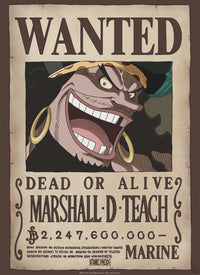 Abystyle Gbydco267 One Piece Wanted Blackbeard Poster 38x52cm | Yourdecoration.be