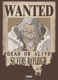 Abystyle Gbydco268 One Piece Wanted Rayleigh Poster 38x52cm | Yourdecoration.be