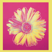 Andy Warhol   Daisy 1982 Kunstdruk 90x90cm | Yourdecoration.be
