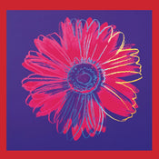 Andy Warhol   Daisy 1982 Kunstdruk 90x90cm | Yourdecoration.be