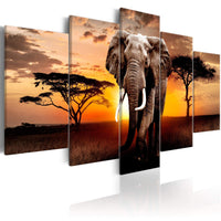 Artgeist Elephant Migration Canvas Schilderij 5 luik | Yourdecoration.be
