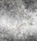 Dimex Branch Abstract Fotobehang 225x250cm 3 banen | Yourdecoration.be