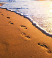 Dimex Footsteps Fotobehang 225x250cm 3 banen | Yourdecoration.be