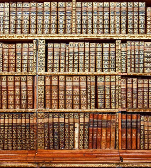 Dimex Library Fotobehang 225x250cm 3 banen | Yourdecoration.be