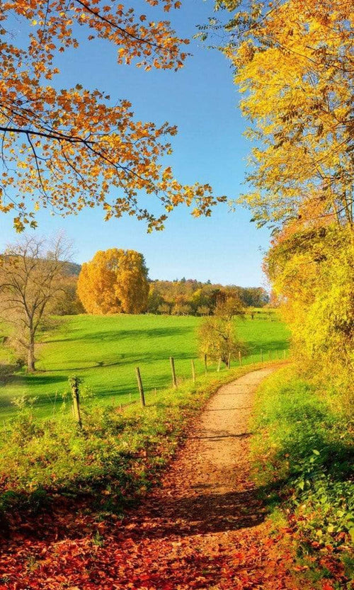 Dimex Meadow Fotobehang 150x250cm 2 banen | Yourdecoration.be